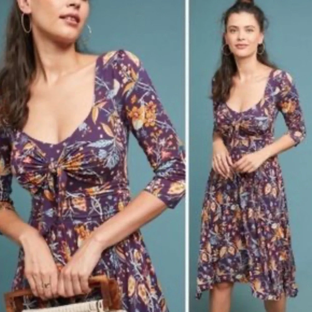 Anthropologie Maeve by anthropologie Beloved fit and flare dress size XS